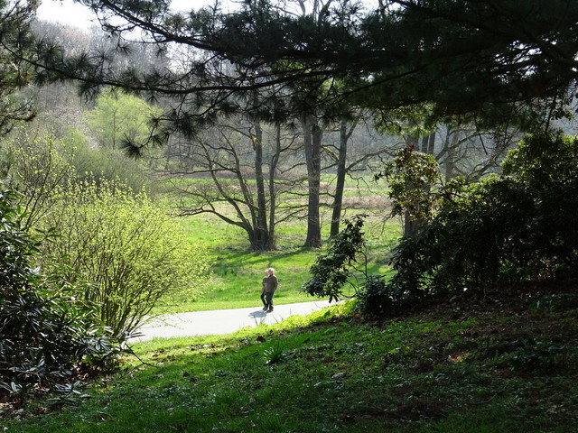 Im botanischen Garten