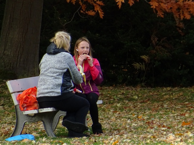Pausensnack im Park