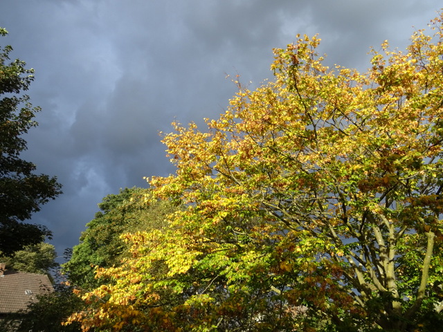 Gewitterstimmung vom Balkon aus