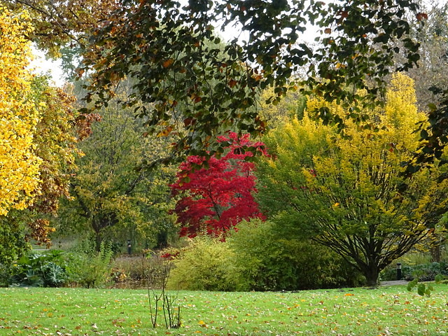 Herbstfarben