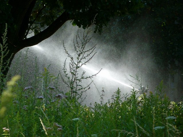 Bewässerung Der Anlage