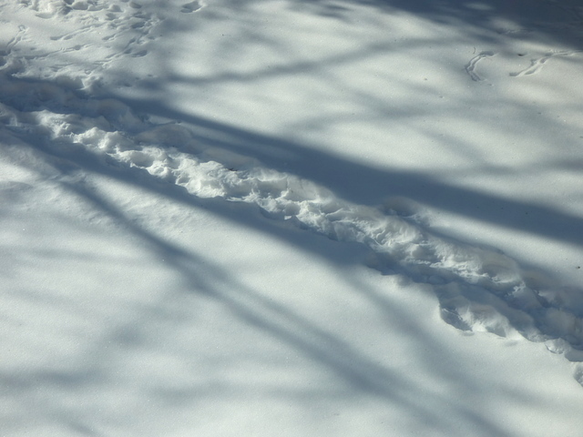 Schatten und Spuren im Schnee