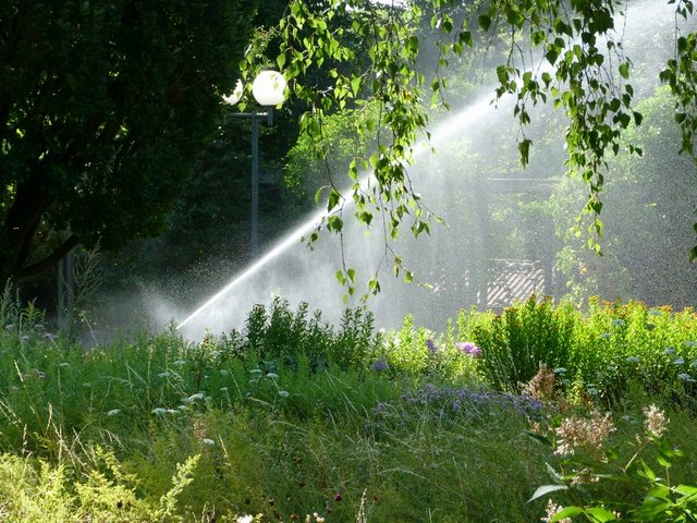 Wasserstrahl
