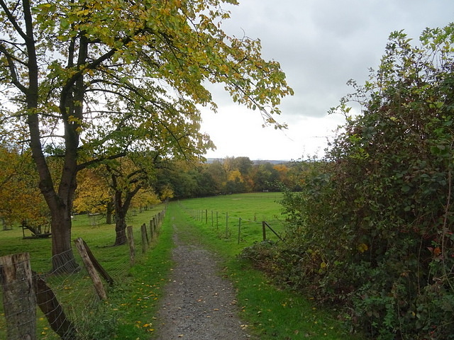 Weg