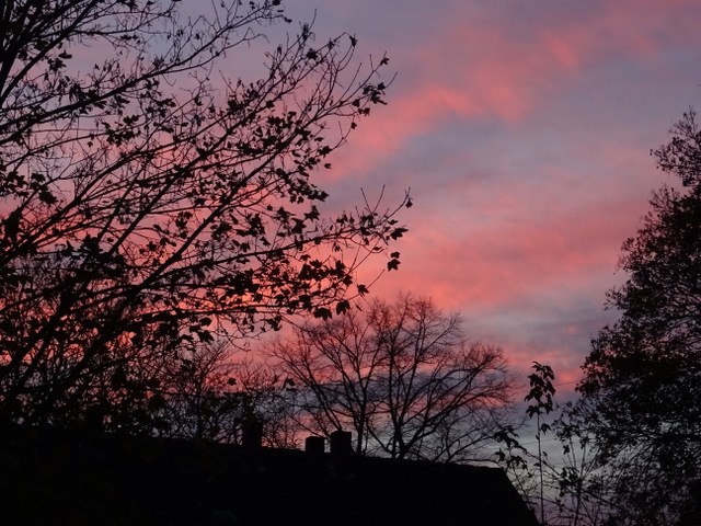 Abendrot