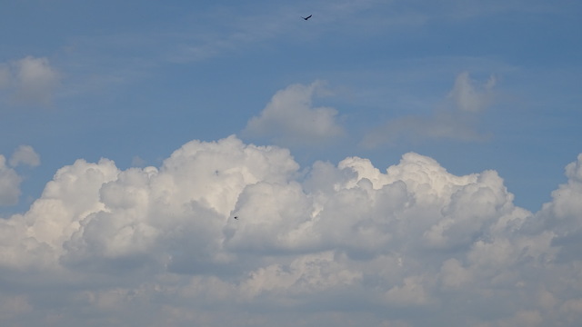 Wolken