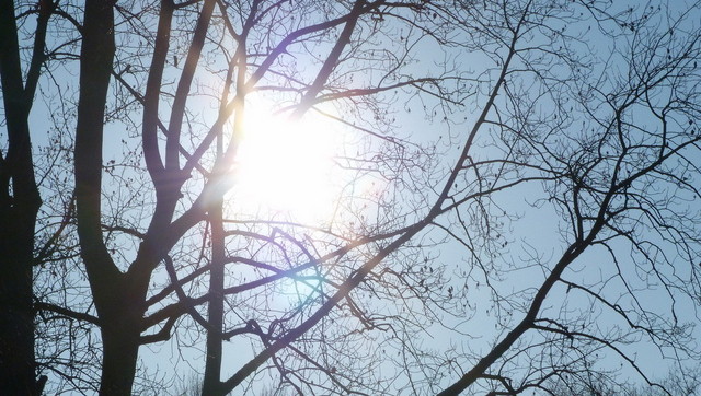 Sonne