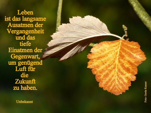 Leben