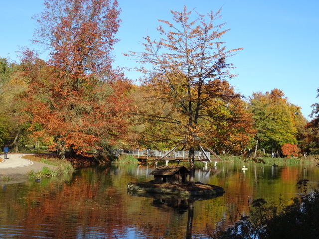 Vogelinsel