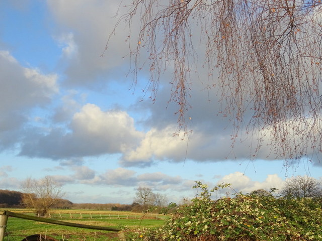 Landschaft