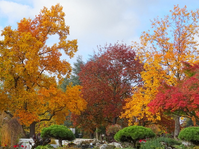 Farbenvielfalt des Herbstes