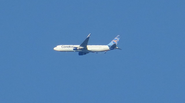 Condor