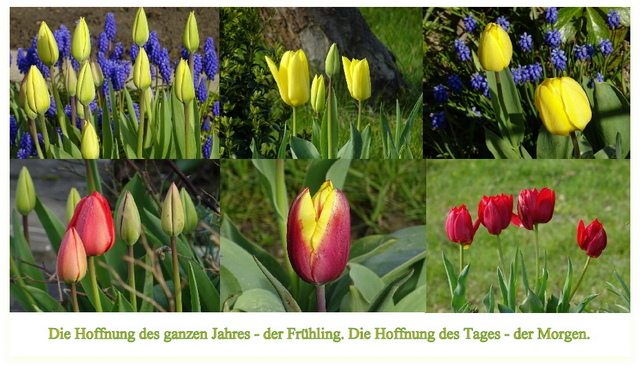 Liebe Sonntagsgrüße