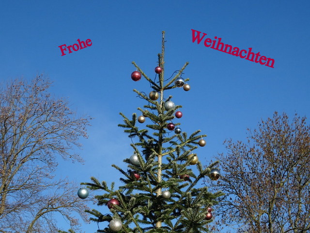 Frohe Weihnachtsfeiertage