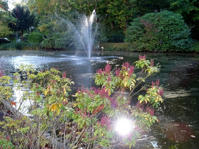 Wasserfontäne und Sonnenspiegelung