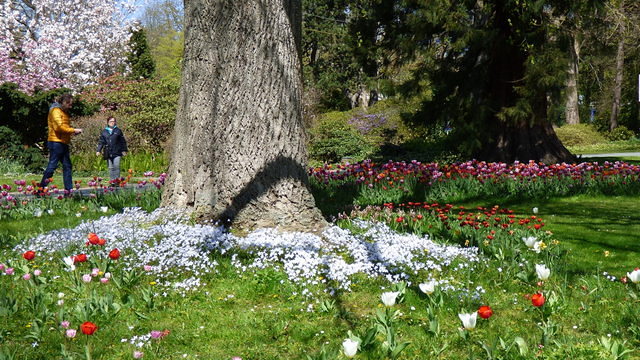 Blumenparadies