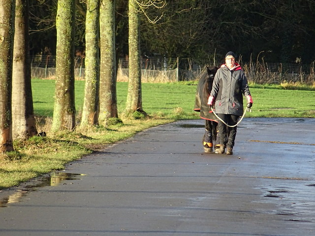 Mensch und Pferd