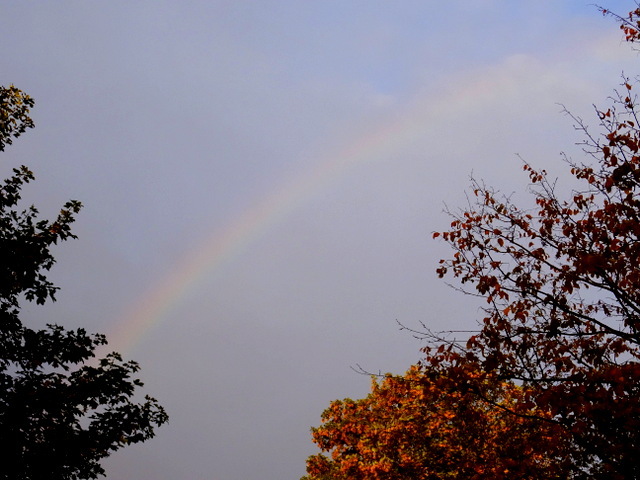 Regenbogen