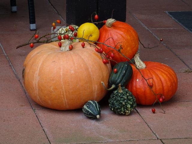 Kürbisse