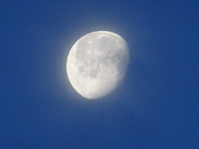 Mond vom 19.12.21