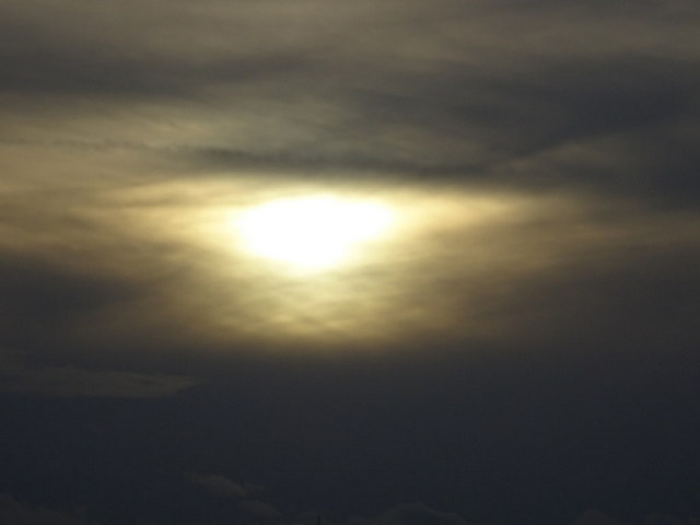 Sonnenauge