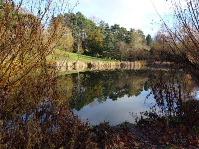 Spiegelung