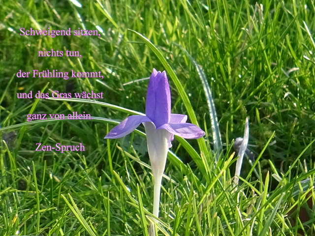 Zen-Spruch