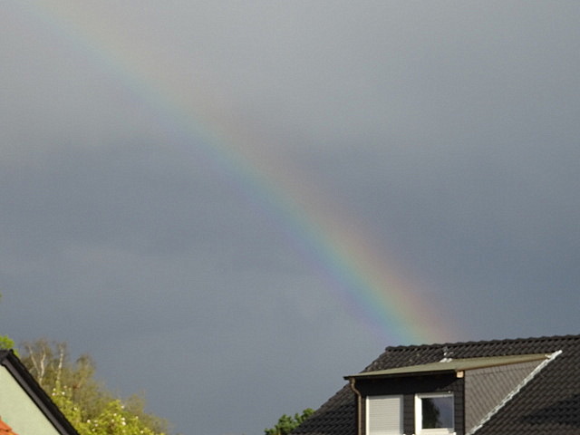 Regenbogen gestern spät nachmittags