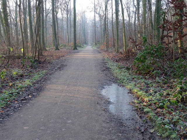 Waldweg