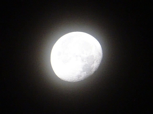 Mond