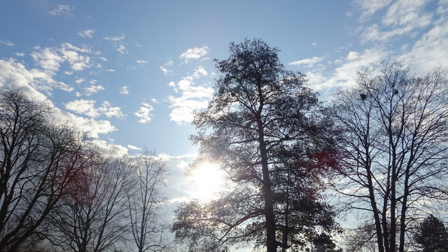Sonne