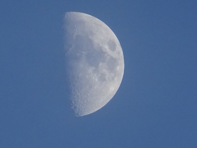 Mond gestern Spätnachmittag