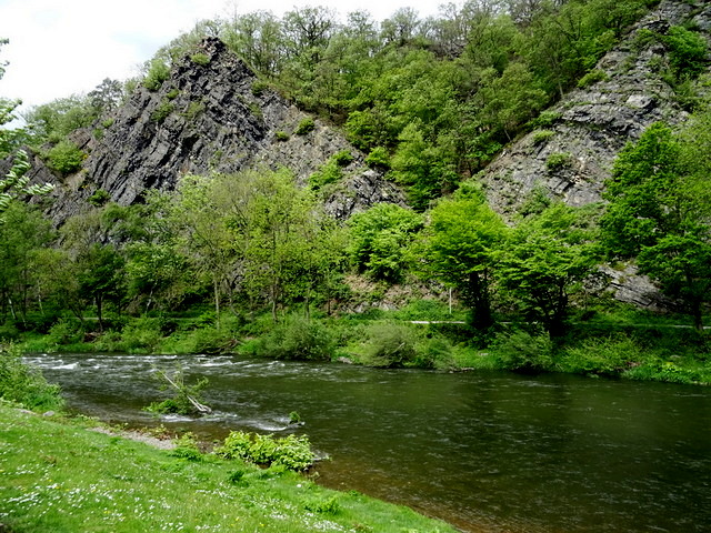 Schieferfelsen An Der Lenne
