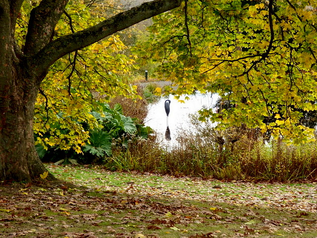 Blick auf einen Teich