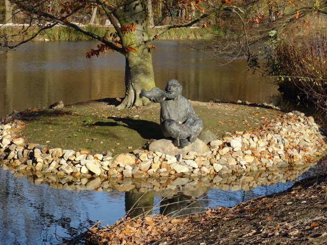 Vogelinsel