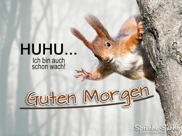 Guten Morgen