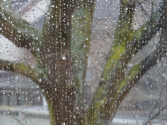 Regentropfen die an mein Küchenfenster klopfen