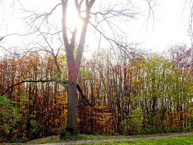 Herbst