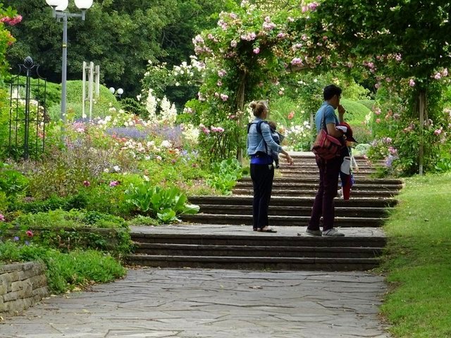 Im Rosengarten