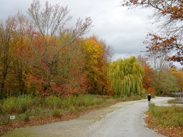 Herbstsspaziergang