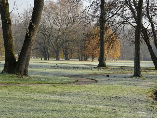 Im Park