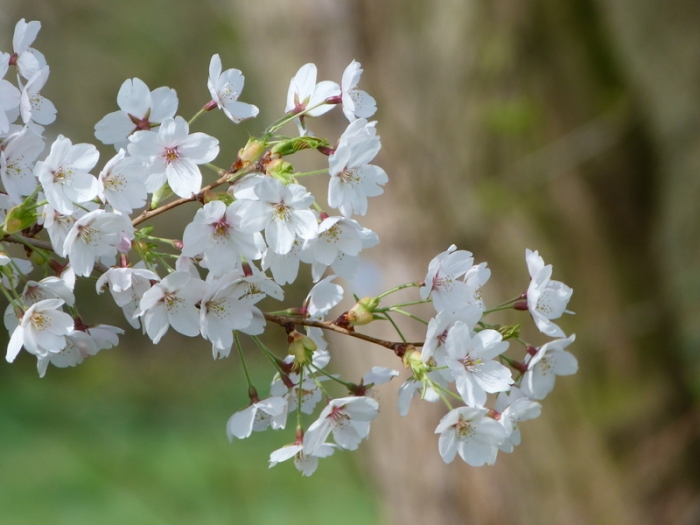 Liebe Sonntagsgrüße