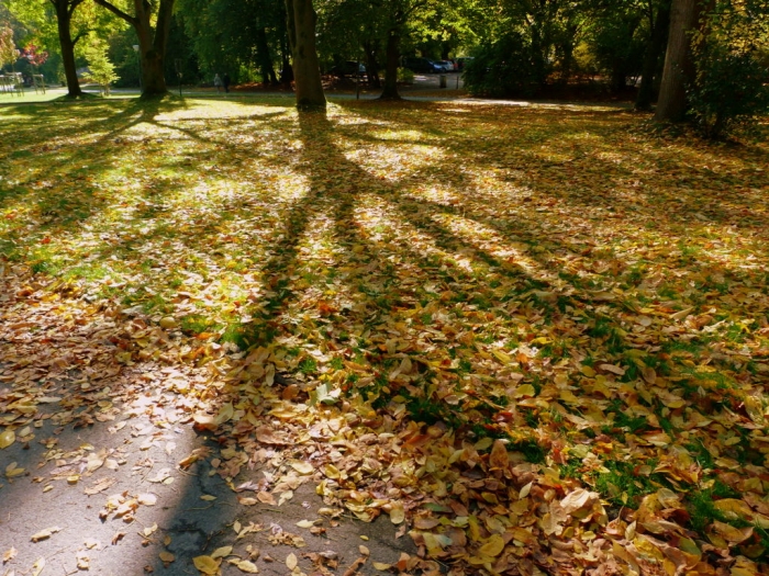 Herbstschatten