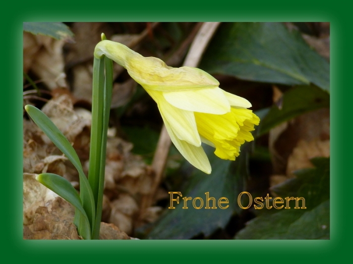Frohe Ostern