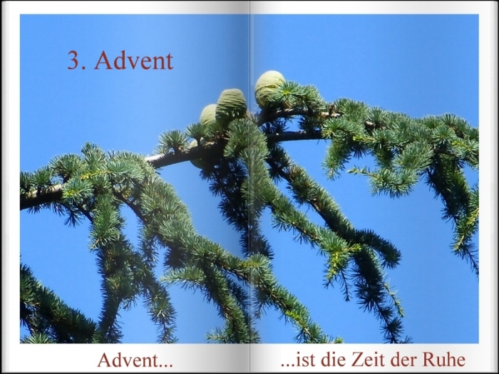 3. Advent