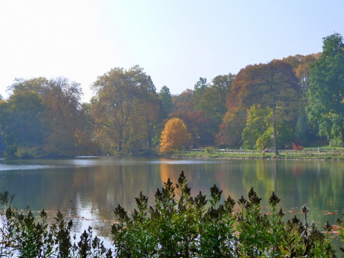 Landschaft im Herbst