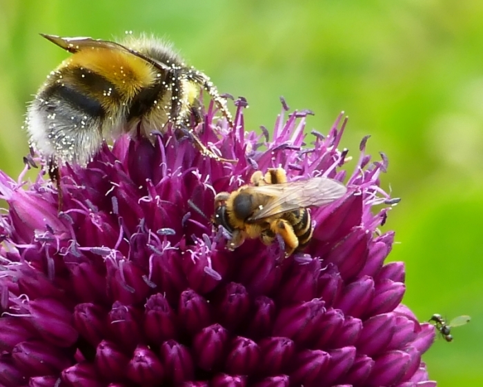 Groß, größer am größten