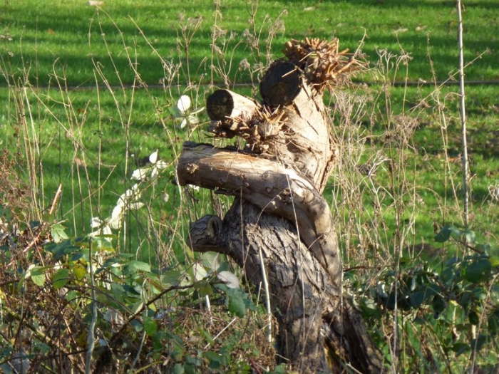 Sie gehört zu mir :-)))