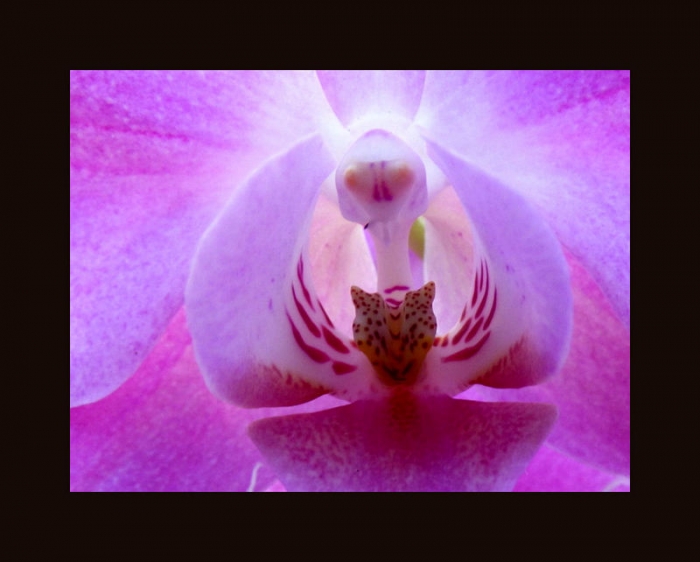 Ich lasse  mein Licht leuchten