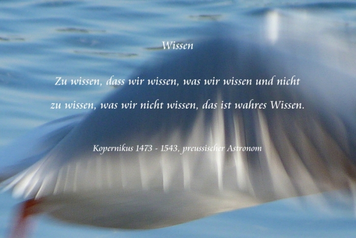 Wissen